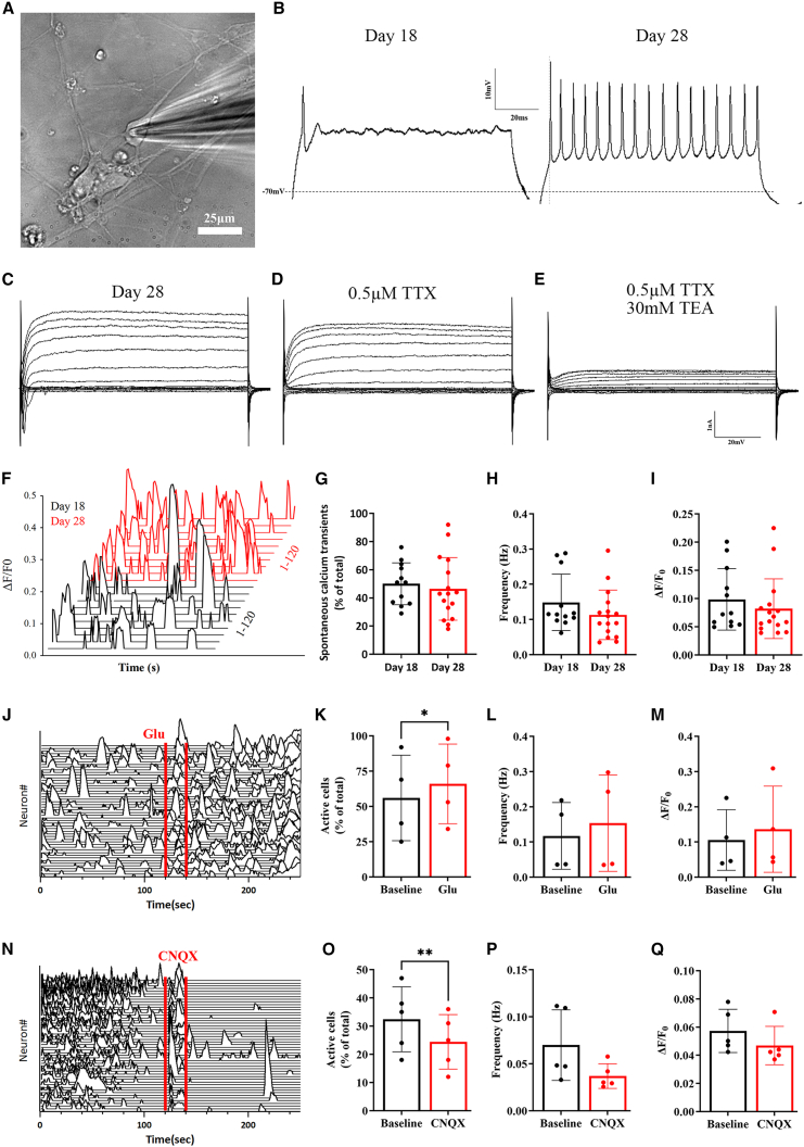 Figure 5