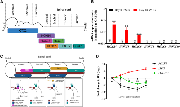 Figure 4