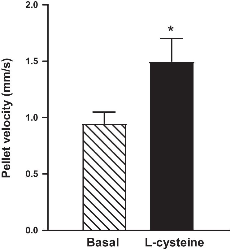 Fig. 10.