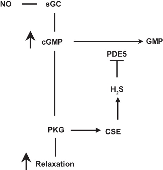 Fig. 11.