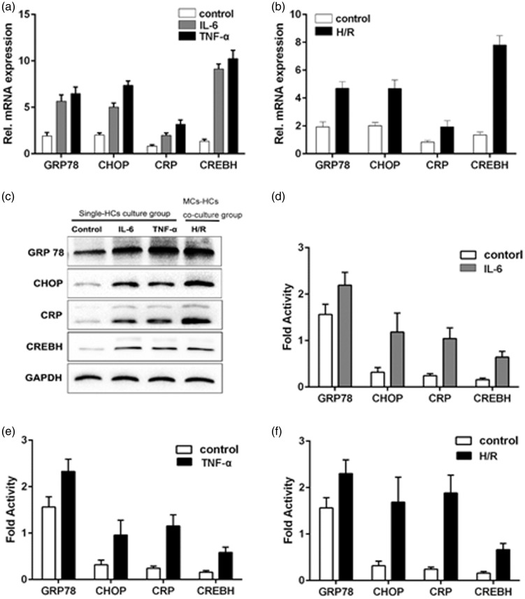 Figure 6.