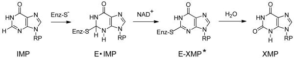 Scheme 1