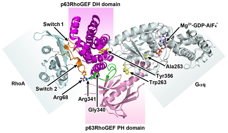 Fig. 1