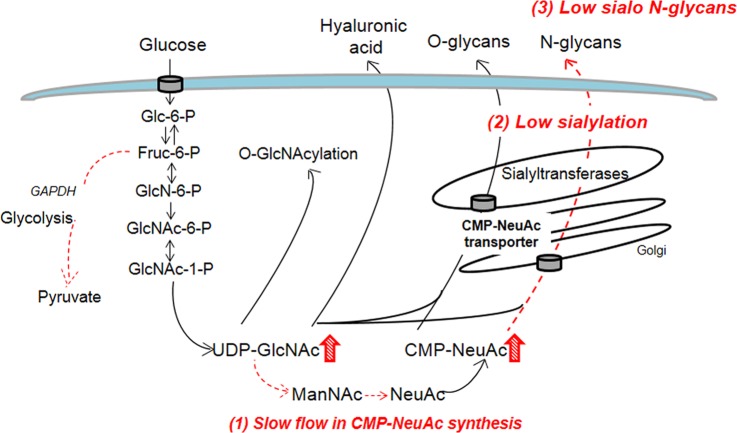 Fig. 7.