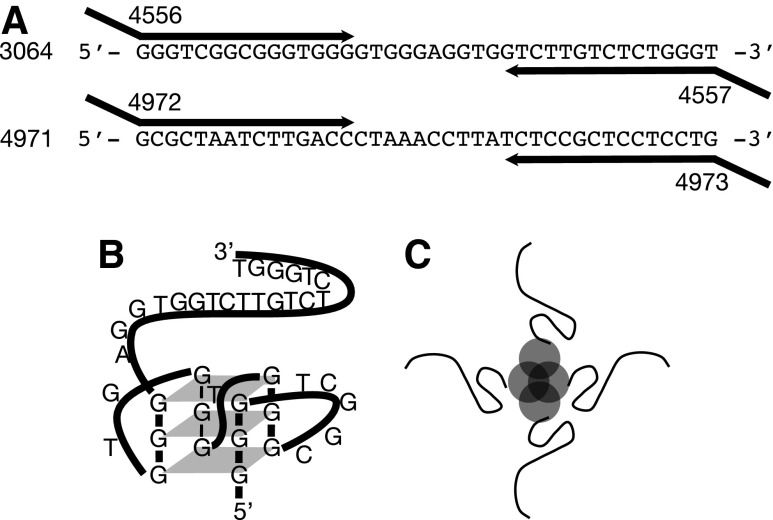 FIG. 1.