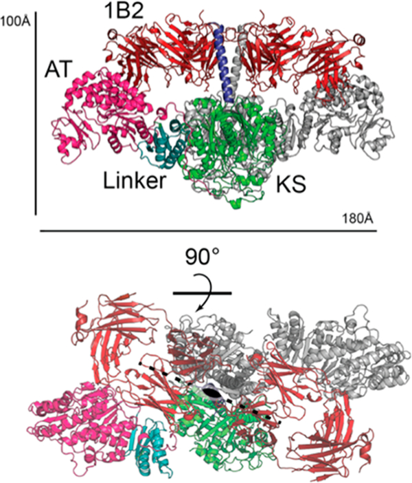 Figure 5.