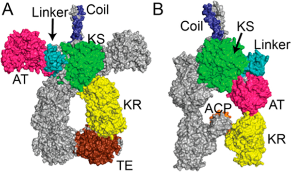 Figure 2.