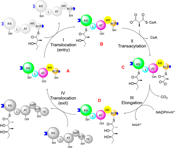 Figure 3.