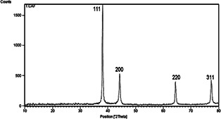 Fig. 5