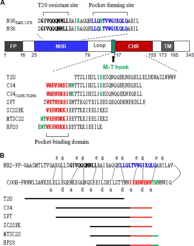 FIG 1