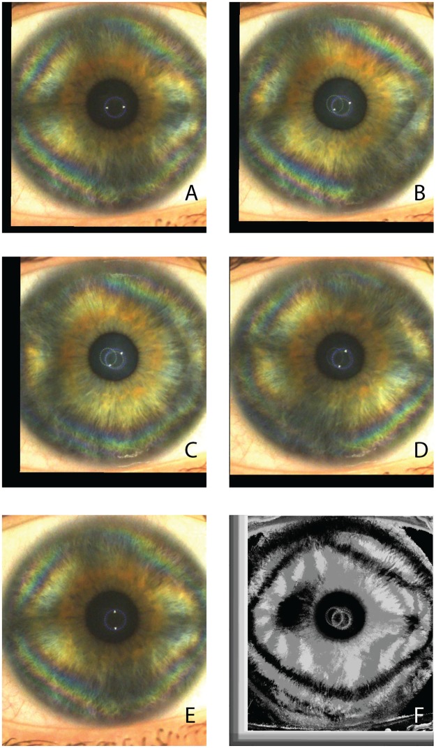 Fig 3