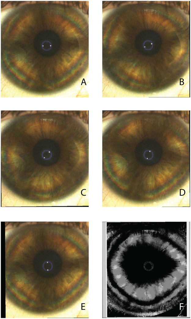 Fig 4