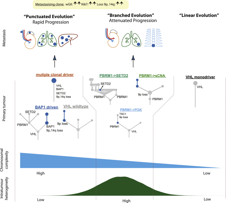 Figure 7