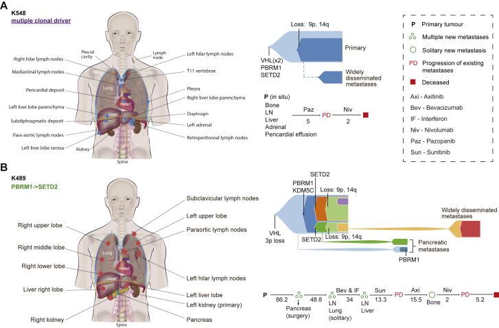 Figure 6