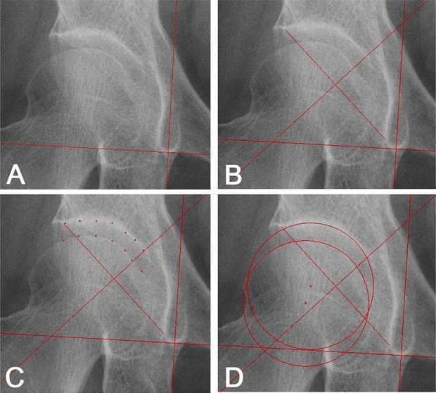 Fig. 3 A-D