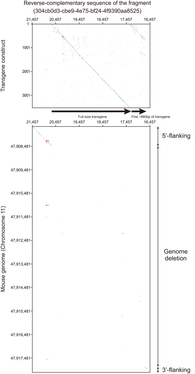 Fig. 3.