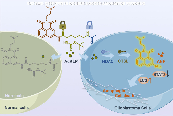 graphic file with name d4sc04555f-ga.jpg