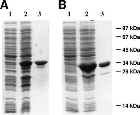 FIG. 3.