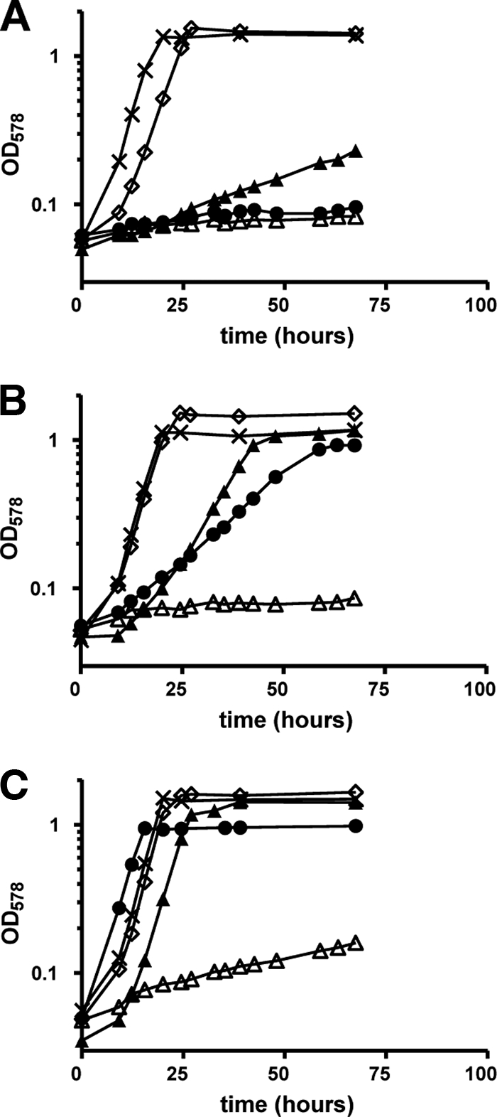 FIG. 2.