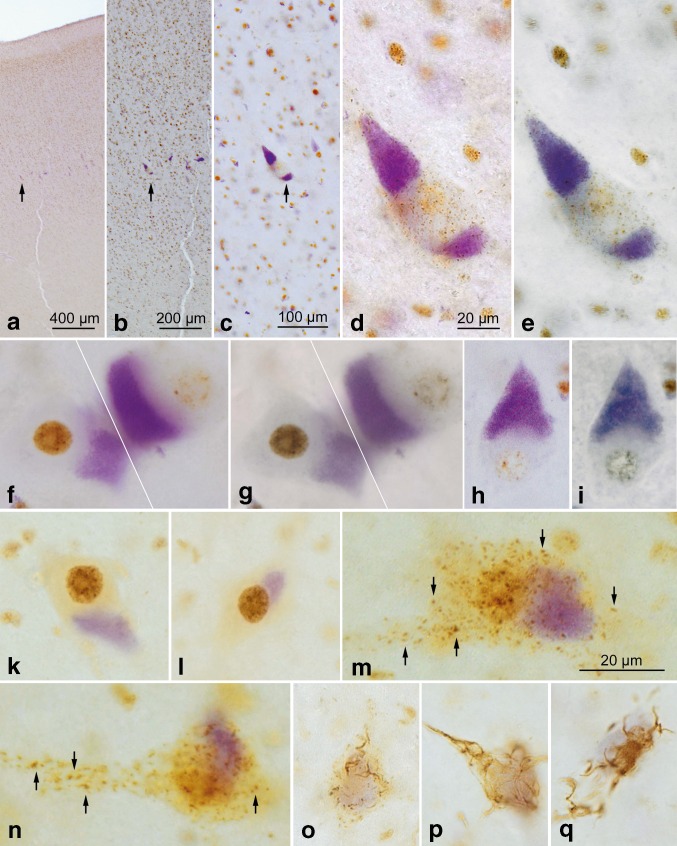 Fig. 2