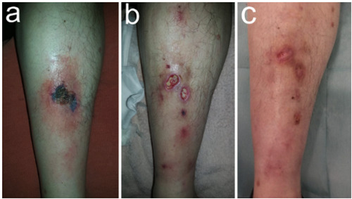 Figure 1.