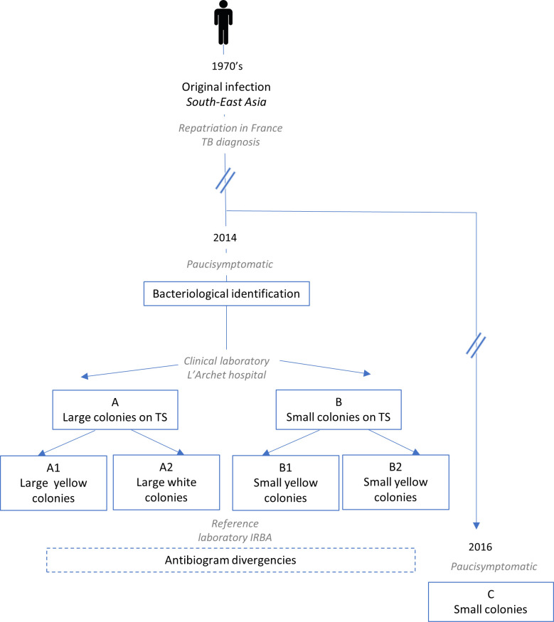 Fig 1