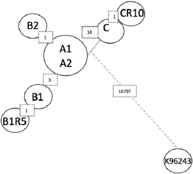 Fig 5