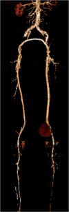 Figure 3: