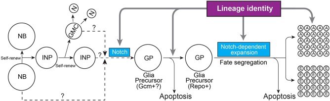 Fig. 7.