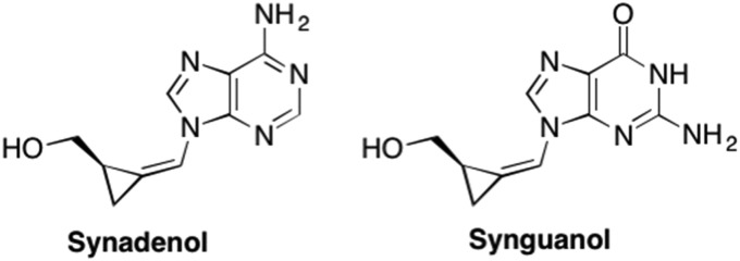 Fig. 15