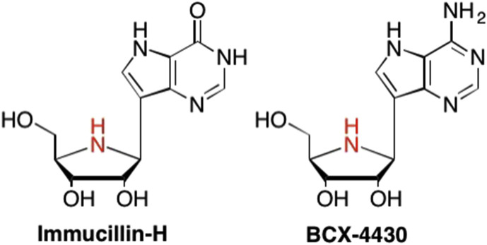 Fig. 32