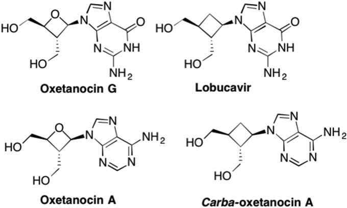 Fig. 14