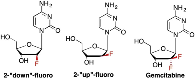 Fig. 5