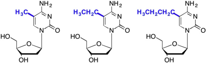 Fig. 24