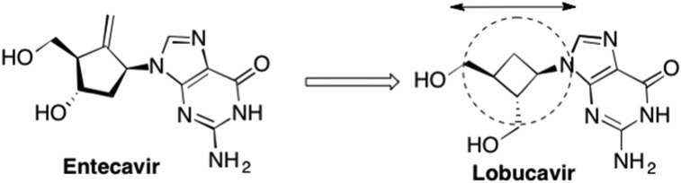 Fig. 13