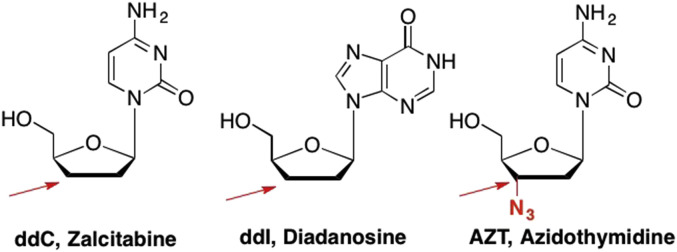 Fig. 7