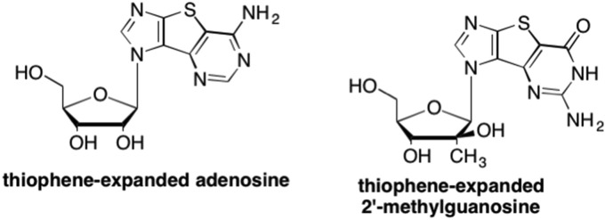 Fig. 29