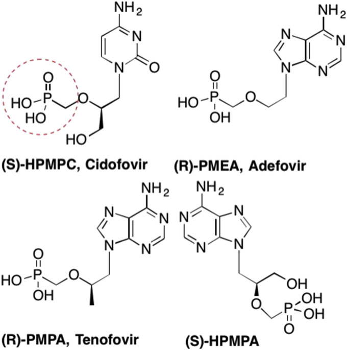 Fig. 21