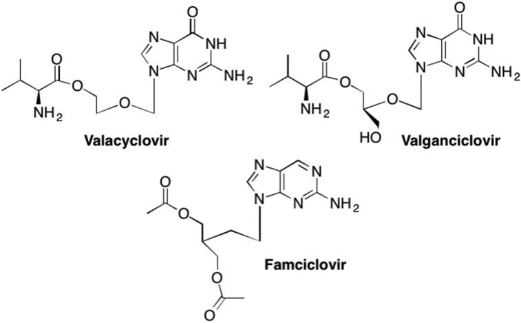 Fig. 20