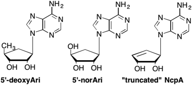 Fig. 10