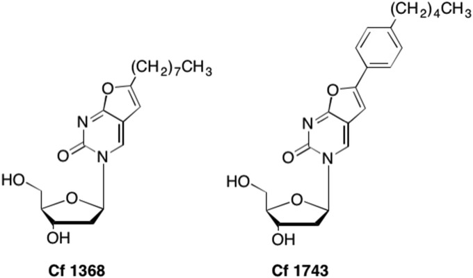 Fig. 25