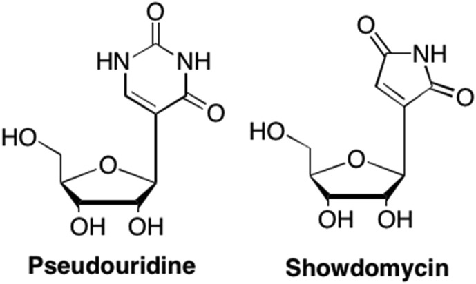 Fig. 31