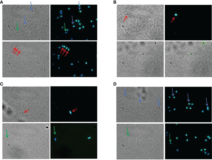 Figure 2