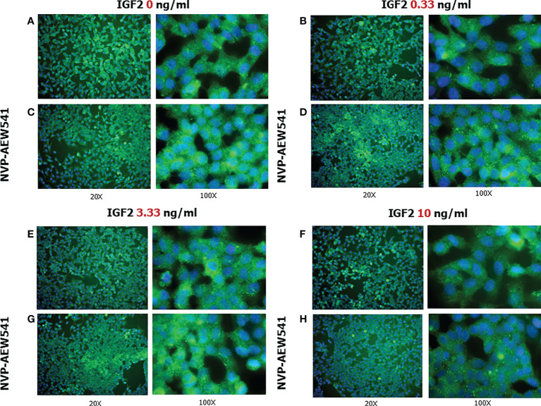 Figure 6