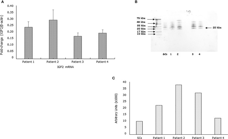 Figure 1