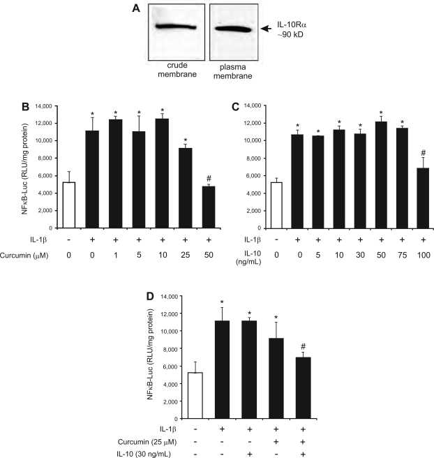 Fig. 11.