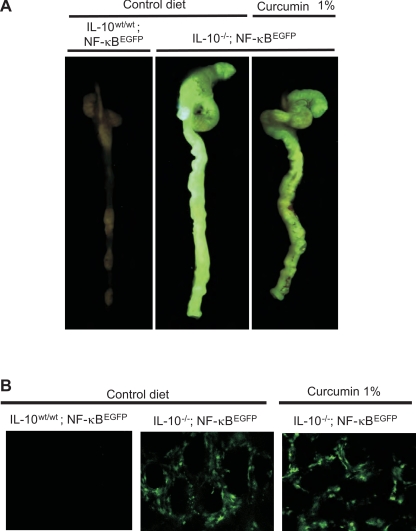 Fig. 9.