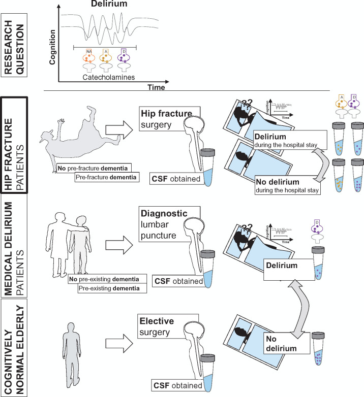 Graphical Abstract