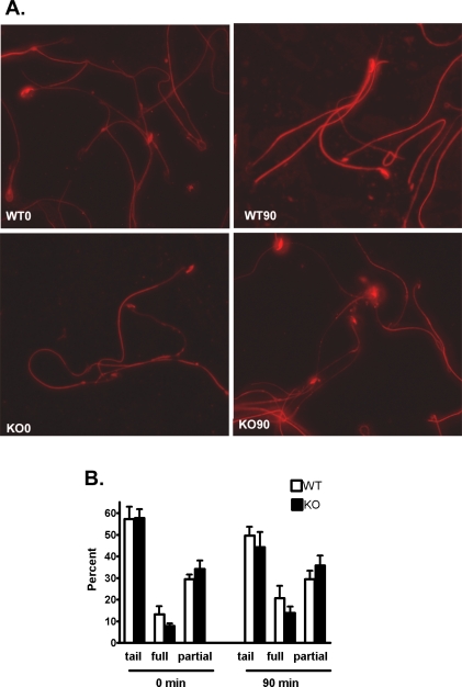 FIG. 8.