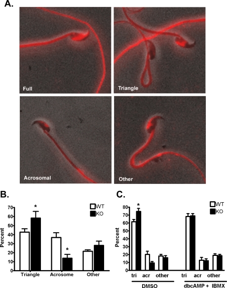 FIG. 9.